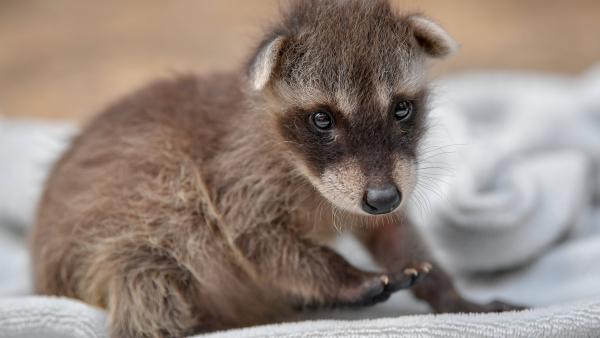 Illusztráció (MTI fotó/Czeglédi Zsolt)