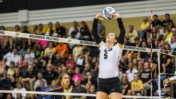 Ashley Evans. Fotó: volleymob.com