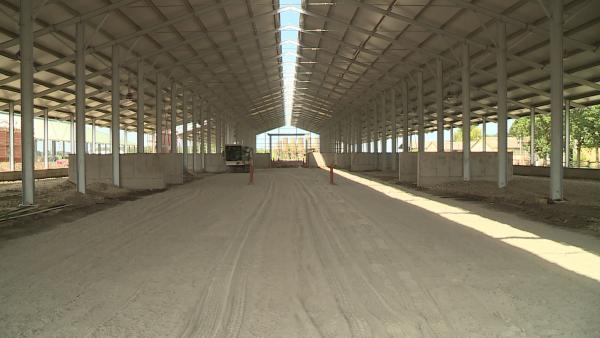 Jó ütemben halad a mezőhegyesi szarvasmarhatelep beruházása Fotó: Fazekas Róbert