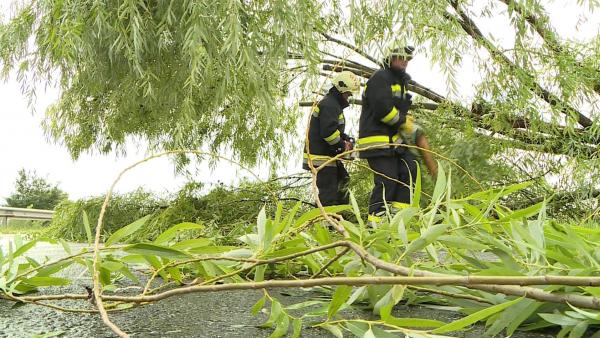 Fotó: Fazekas Róbert