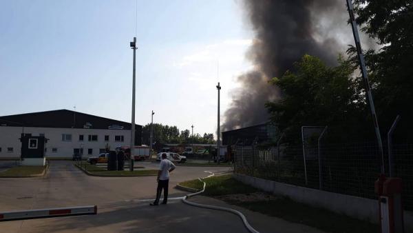 (Fotó: Kugyelka Attila)