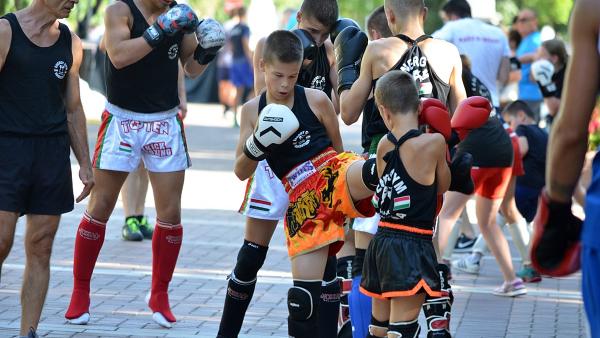 Illusztráció (Fotó: Kuti István)