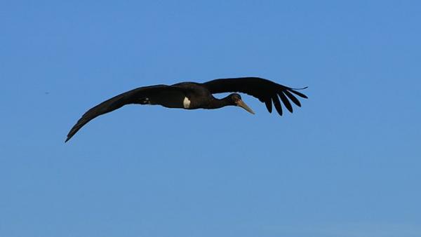 Fotó forrás: kmnp.hu / Balogh Gábor