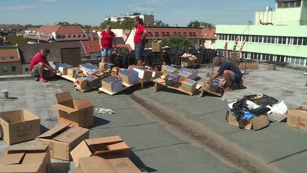 Fotó: Fazekas Róbert 