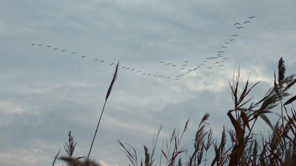 Fotó: Kugyelka-Zámbori Eszter