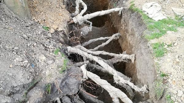 Fotó: Attila Pőthe/Facebook