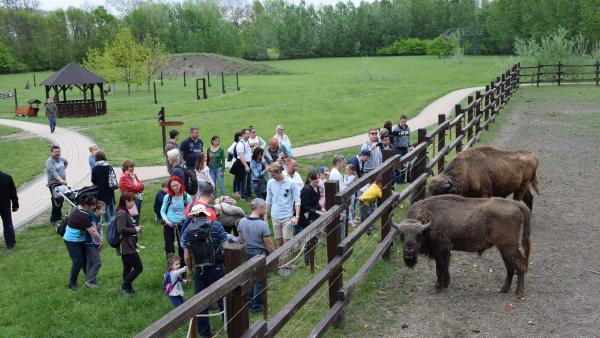 Fotó: Körömi Krisztina