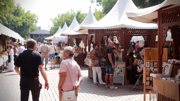 Megyenap. Fotó: Békés Megyei Önkormányzat