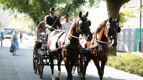 Megyenap. Fotó: Békés Megyei Önkormányzat