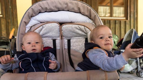 Illusztráció./Fotó: MTI/Szigetváry Zsolt