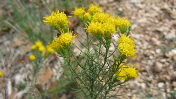 Fotó: orszagalbum.hu