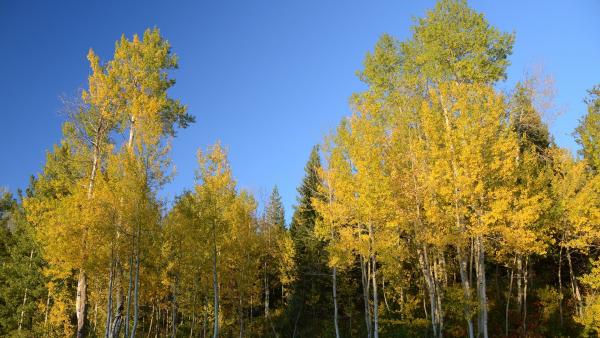 A kép illusztráció (forrás: pixabay.com)