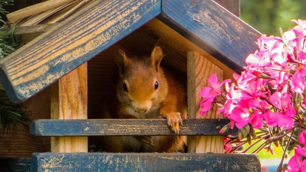 A kép illusztráció (fotó: pixabay.com)