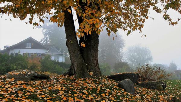 Illusztráció: pixabay.com