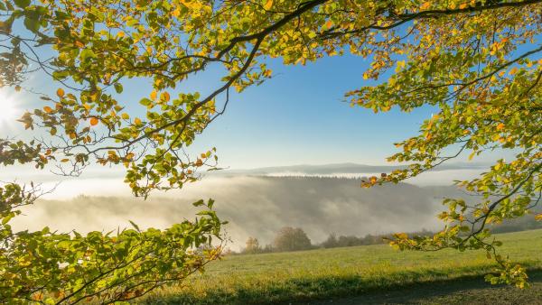 A kép illusztráció (fotó: pixabay.com)