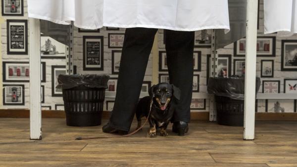 A kép illusztráció (fotó: Mónus Márton)