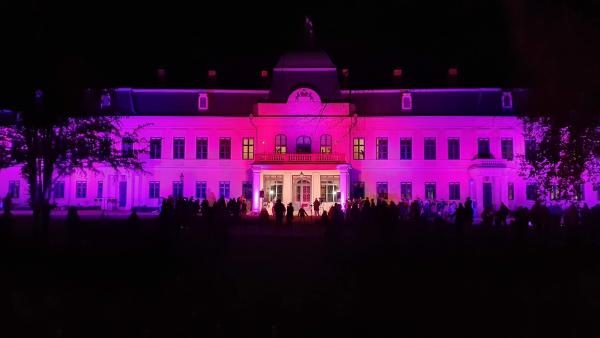 Lila fényben tündökölt az Almásy-kastély a koraszülöttek világnapján Fotó: Kovács Dénes