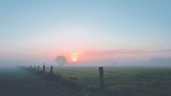 Illusztráció (Fotó: pexels.com)