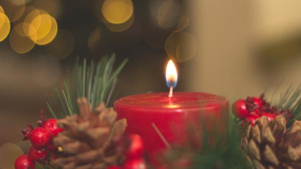 Illusztráció: pexels.com