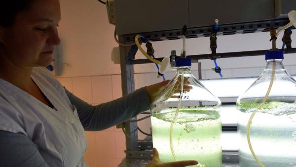 Illusztráció. Fotó: MTI/Bruzák Noémi