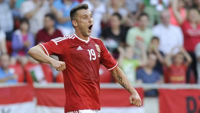 Priskin Tamás a válogatottban 63 meccsen 17 gólt ért el - (Fotó: index.hu)
