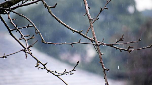 Illusztráció: pixabay.com