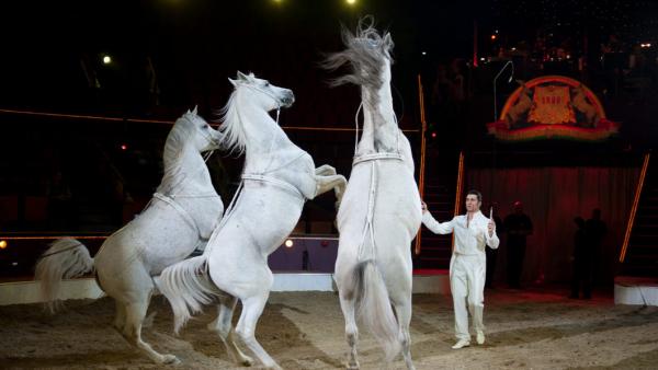 (Fotó: MTI/Kallos Bea)