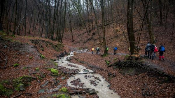 A kép illusztráció (Fotó: MTI/Sóki Tamás)