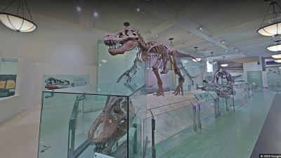 Természettudományi múzeum. Fotó: Google Arts&Culture