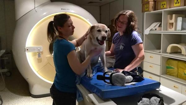 Kép: ELTE Etológia Tanszék