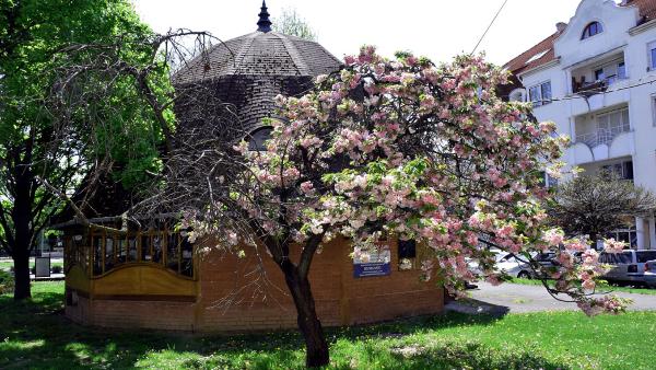 A Spáten Söröző - illusztráció