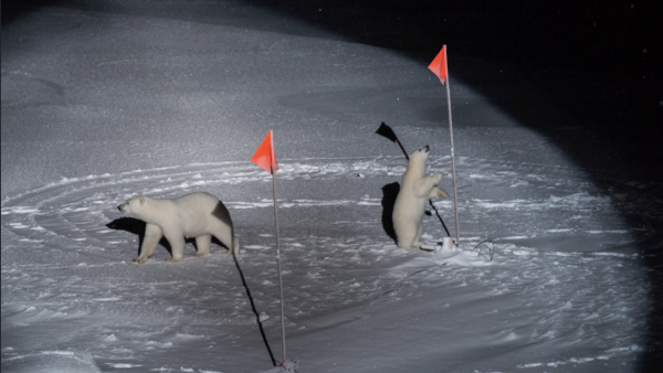 Horváth Eszter képe