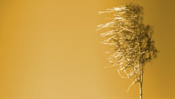 illusztráció: Munkácsy Mihály Múzeum