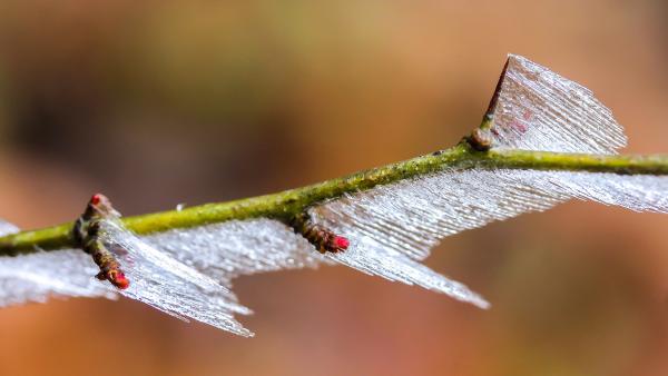 Illusztráció: pixabay.com