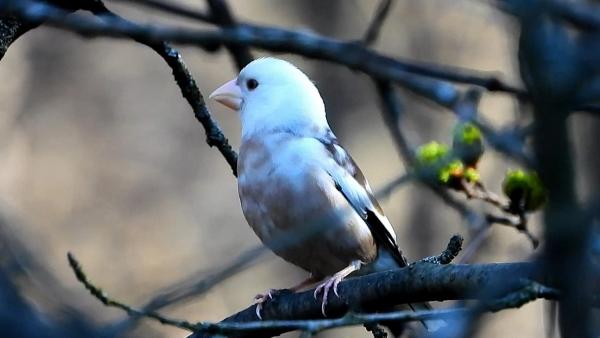 (Fotó: Miskolczi Tímea Panny)