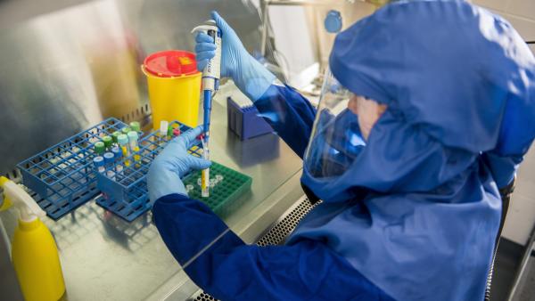 MTI fotó: Sóki Tamás