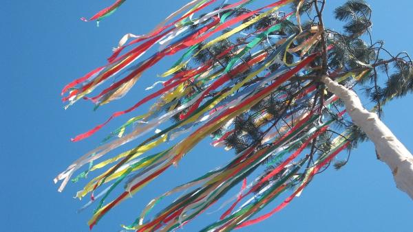 Illusztráció: pixabay.com