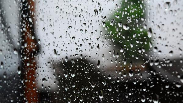 A kép forrása: pixabay.com