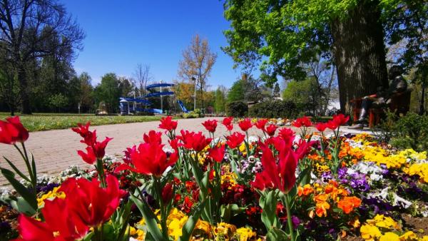 (Fotó: Gyulai Várfürdő)