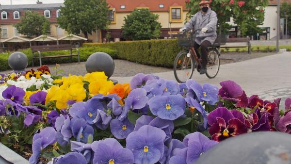 Fotó: Gyulai Hírlap – Pénzes Sándor