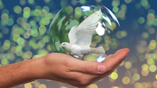 Illusztráció: pixabay.com