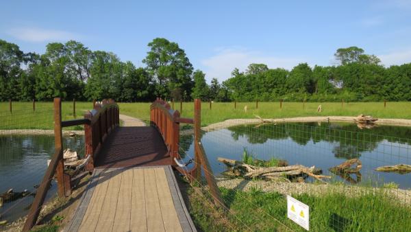 A Körösvölgyi Látogatóközpont és Állatpark egyik kültéri helyszíne. Forrás: kirandulasitippek.hu