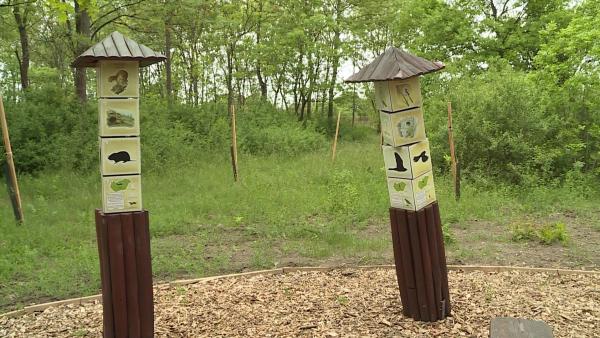 Kép: Máthé Csongor