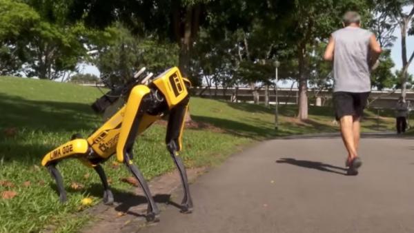 Fotó: interestingengineering.com