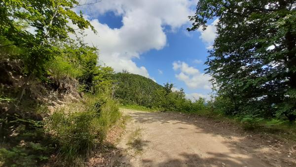 Fotó: behir.hu/Mikóczy Erika