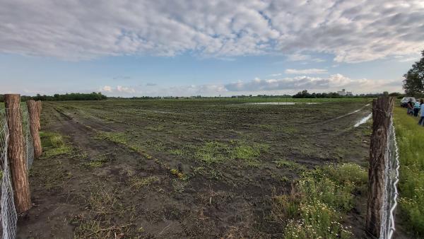 Fotó: Papp Ádám / behir.hu