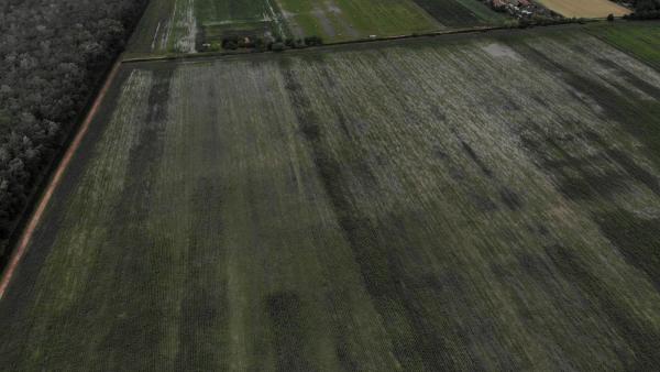 Békéscsaba közelében - belvízelöntés a Gyuriréten. Forrás: Kövizig