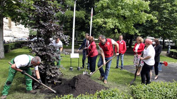 (Fotó: Jóri András/Magyar Vöröskereszt)
