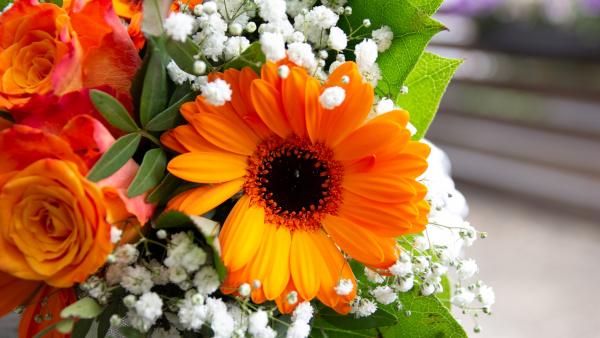 Illusztráció: pixabay.com