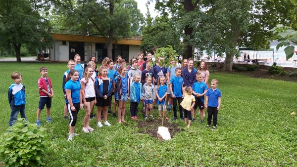 Fotó: Papp Ádám / behir.hu